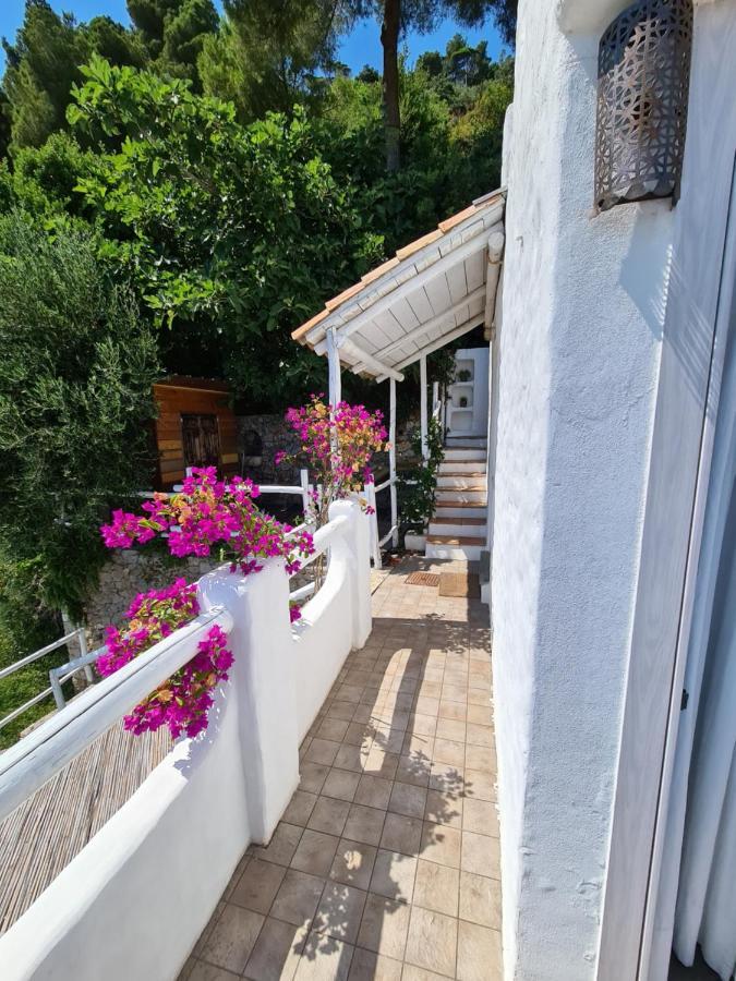 Soqquadro Art&Relax - Spotorno Apartment Exterior photo